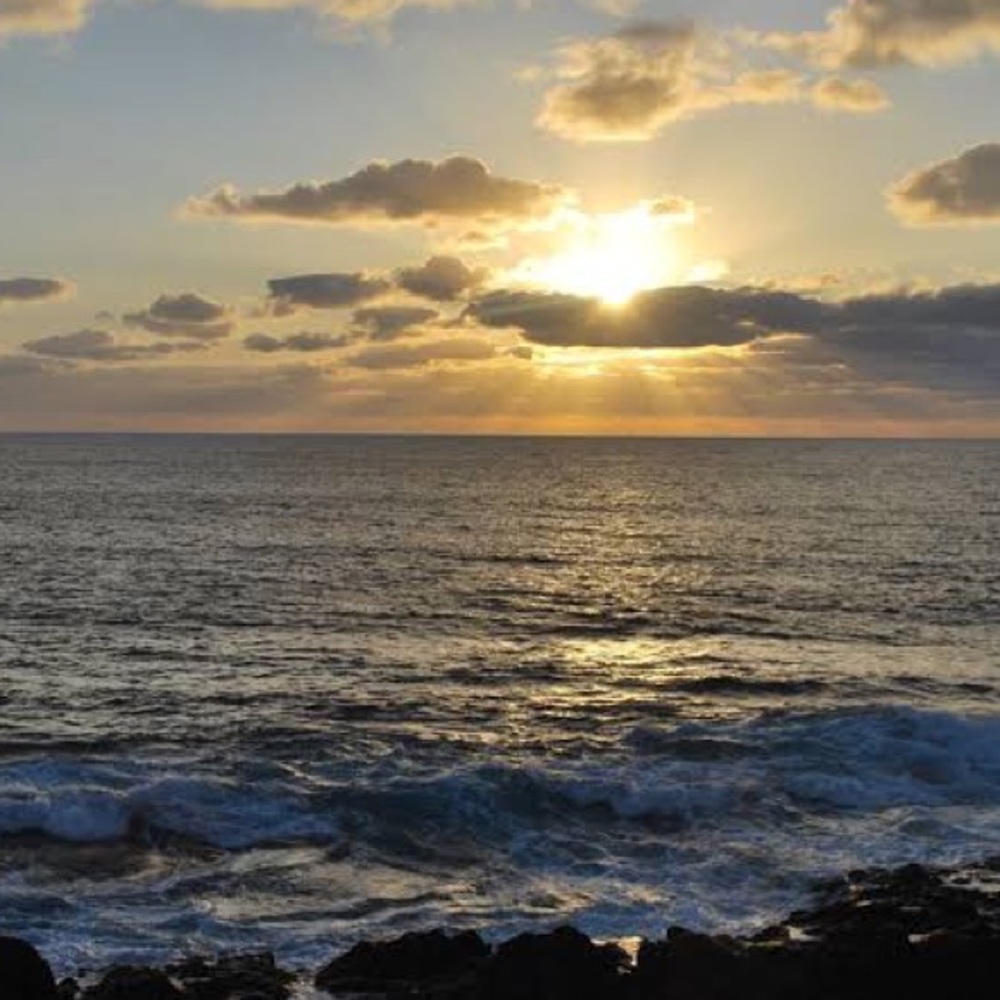 Meet your Posher, Stephy